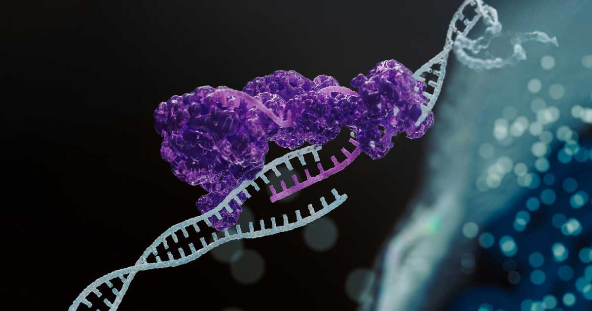 Oligonucleotides - Immuneed